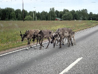 #10: Group from Rehndears along the Way