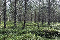 Visit #7: [06-Jul-24]