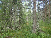 #2: East view / Östliche Sicht