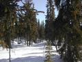 #2: East