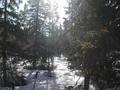 #3: South