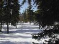 #4: West