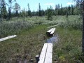 #10: Wooden planks over the swampy area / Der nicht immer komplette Weg über das Sumpfgebiet