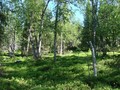 #2: East view / Östliche Sicht