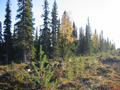 #4: At confluence, view to the South.