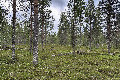 Visit #5: [06-Jul-24]