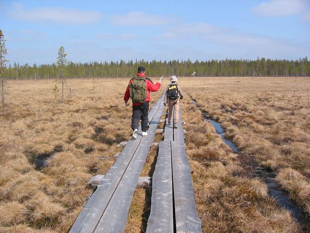 On the footbridge