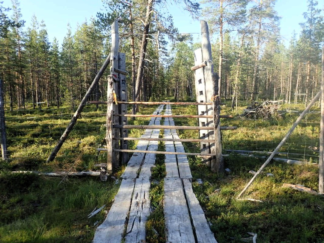 Wood Door for Reindears / Holtztor für Rehntiere