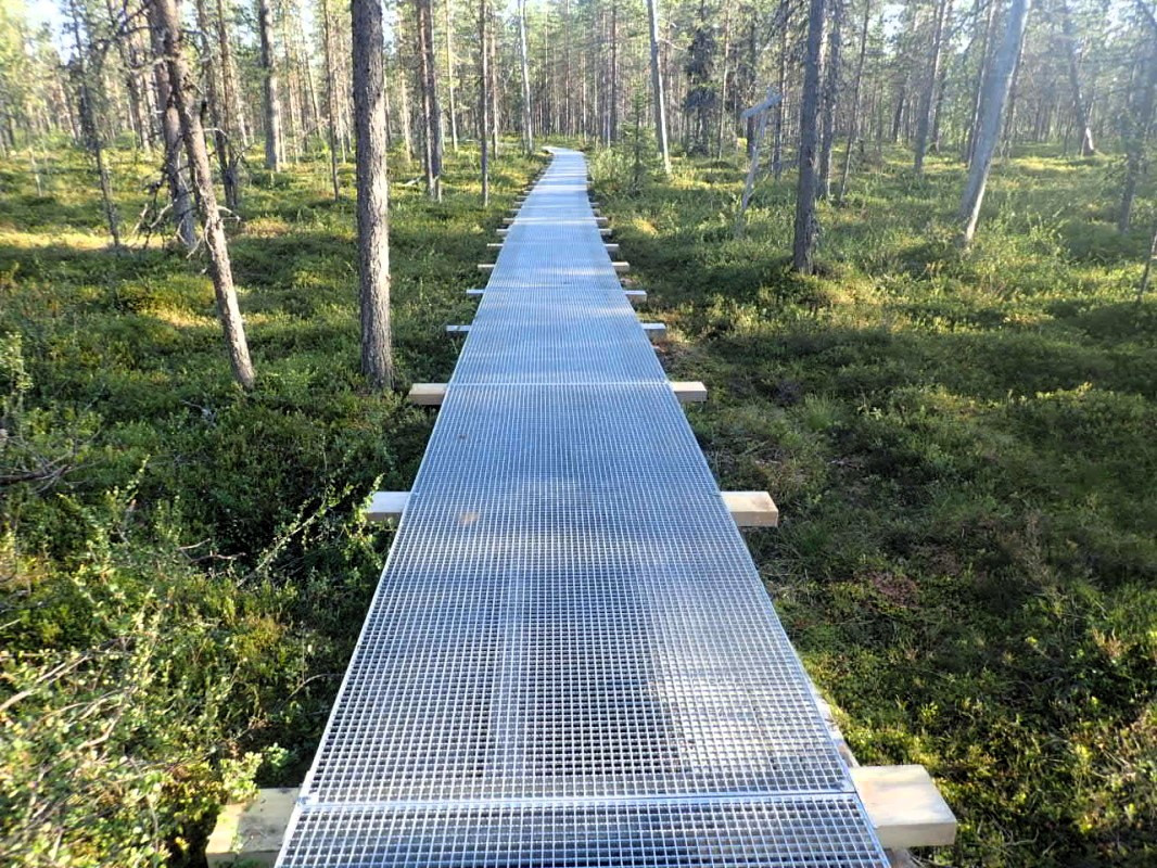 Metal segments over the swampy Area / Metalsegmente über das Sumpfgebiet