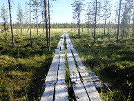 #7: Wood Blanks over the swampy Area / Holzplanken über das Sumpfgebiet