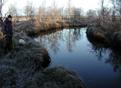 #8: Kurtojoki river at morning