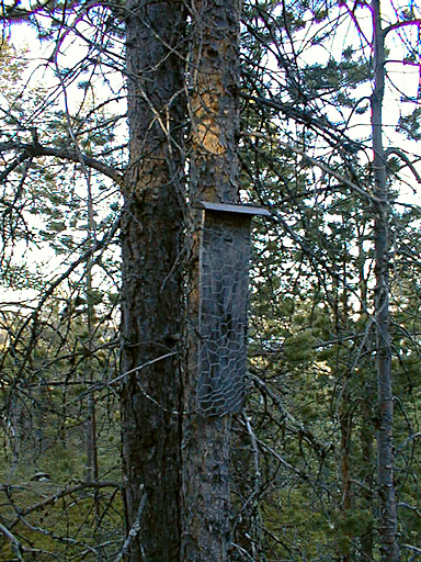 strange cage/trap
