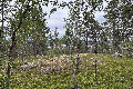 Visit #7: [07-Jul-24]