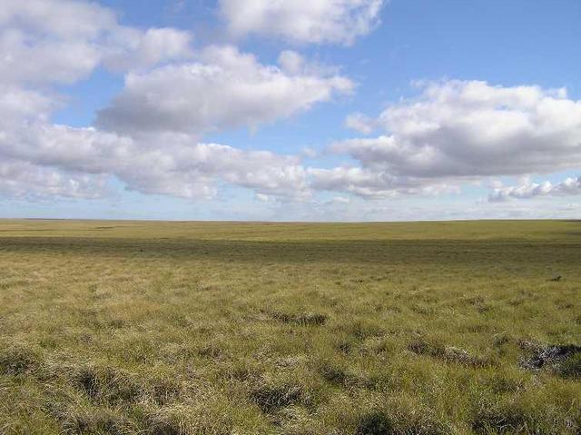 View to the West