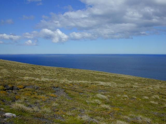 How the confluence looks: a gentle mossy, grassy slope with the South Atlantic as a backdrop.  In the distance to the southeast Lafonia (East Falkland) is just barely visible on the horizon.