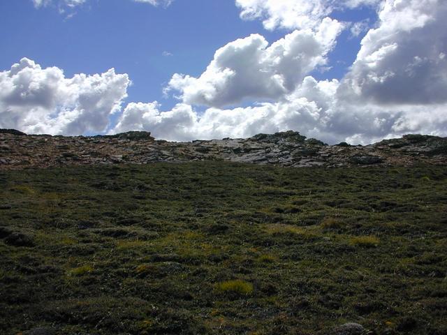 The crest of Coast Ridge is very near to the north of the confluence.