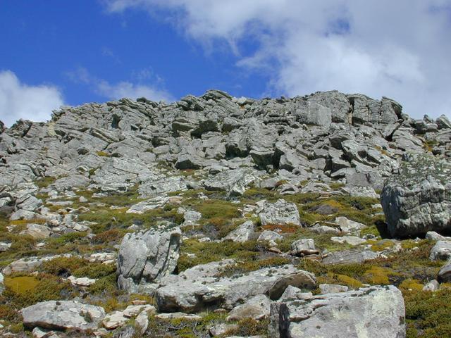 The rock face that threatened to foil us at the final throw.  We were  able to go around, cresting the Coastal Ridge and reaching the  confluence on the other side.