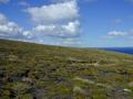#3: To the east one can see the peninsula that embraces Carcass Bay.