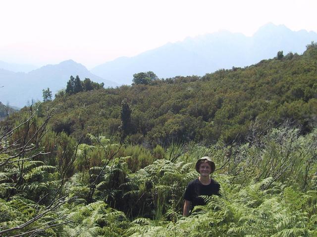 in the boar paths for the last meters