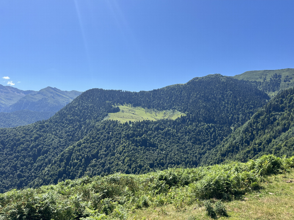 On the way there, view of the clearing and the Bigaloume hut (and the confluence point in the forest)