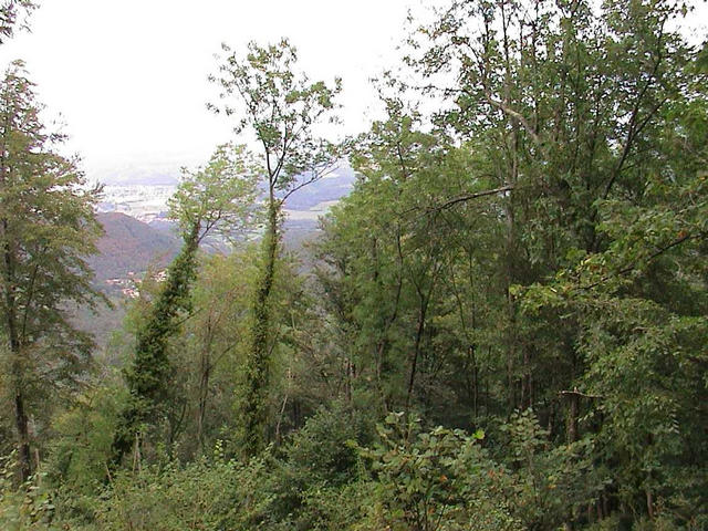 Looking north-east, from 100m. SW of the confluence