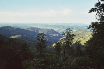 #1: view north from 150 m N of the CP