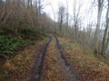 #9: Track near the confluence