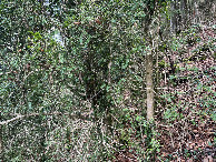 #3: View to the east