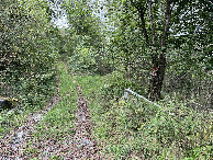 #8: At altitude 932m, the path I took (not the one on the left but the barely visible one on the right)