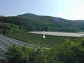 #2: View of the orchard, with the confluence marked