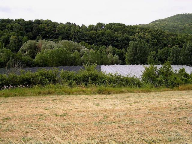 a view of the area of the confluence