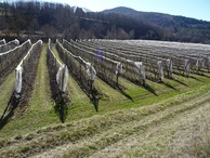 #6: General view of the point from the road