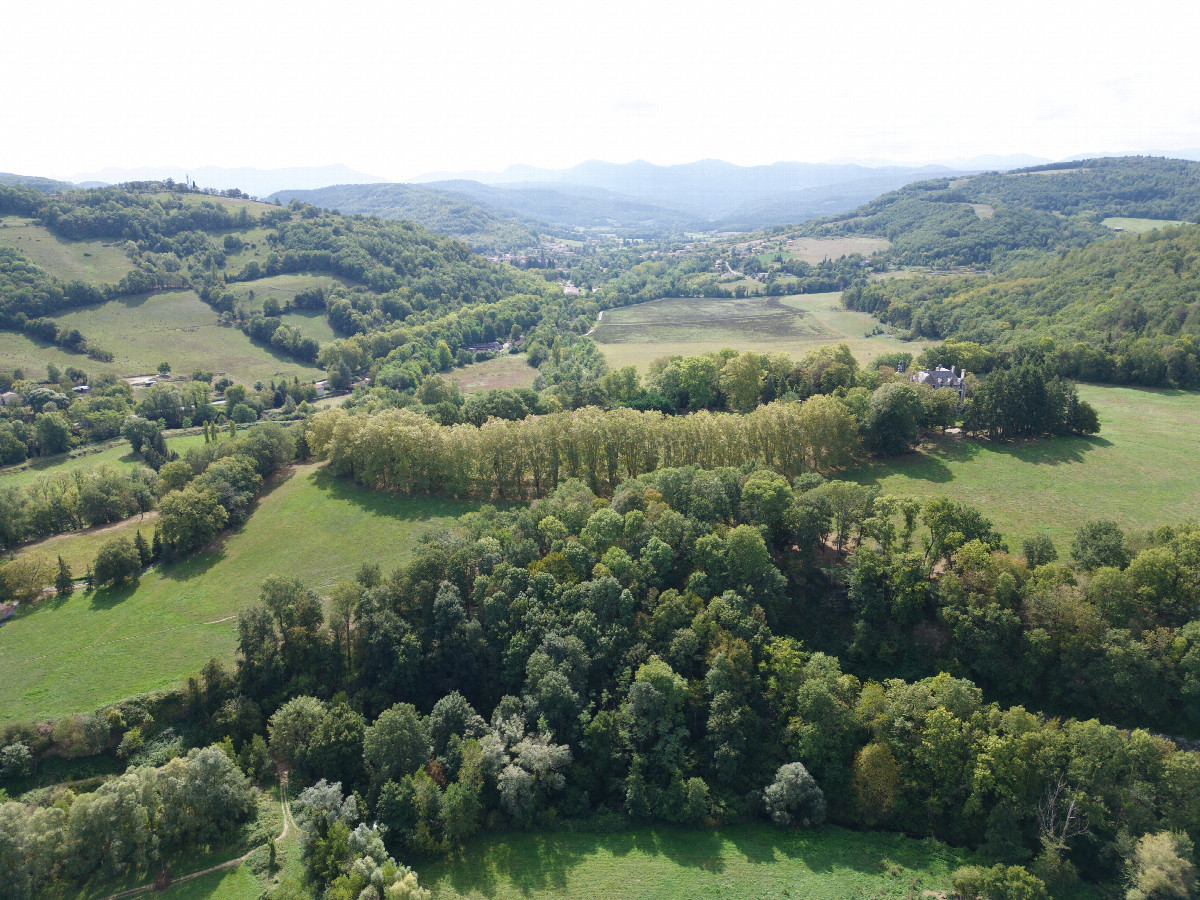 View South, from 120m above the point