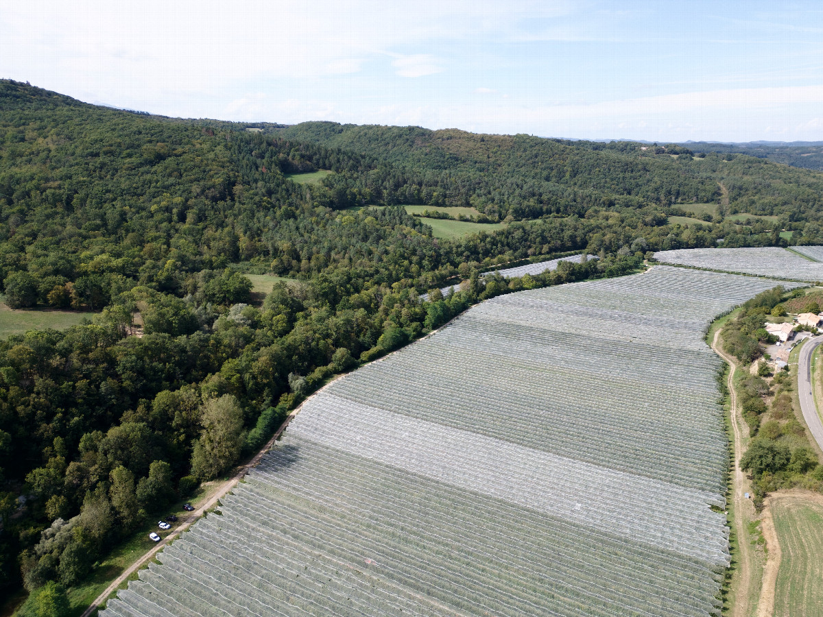 View West, from 120m above the point