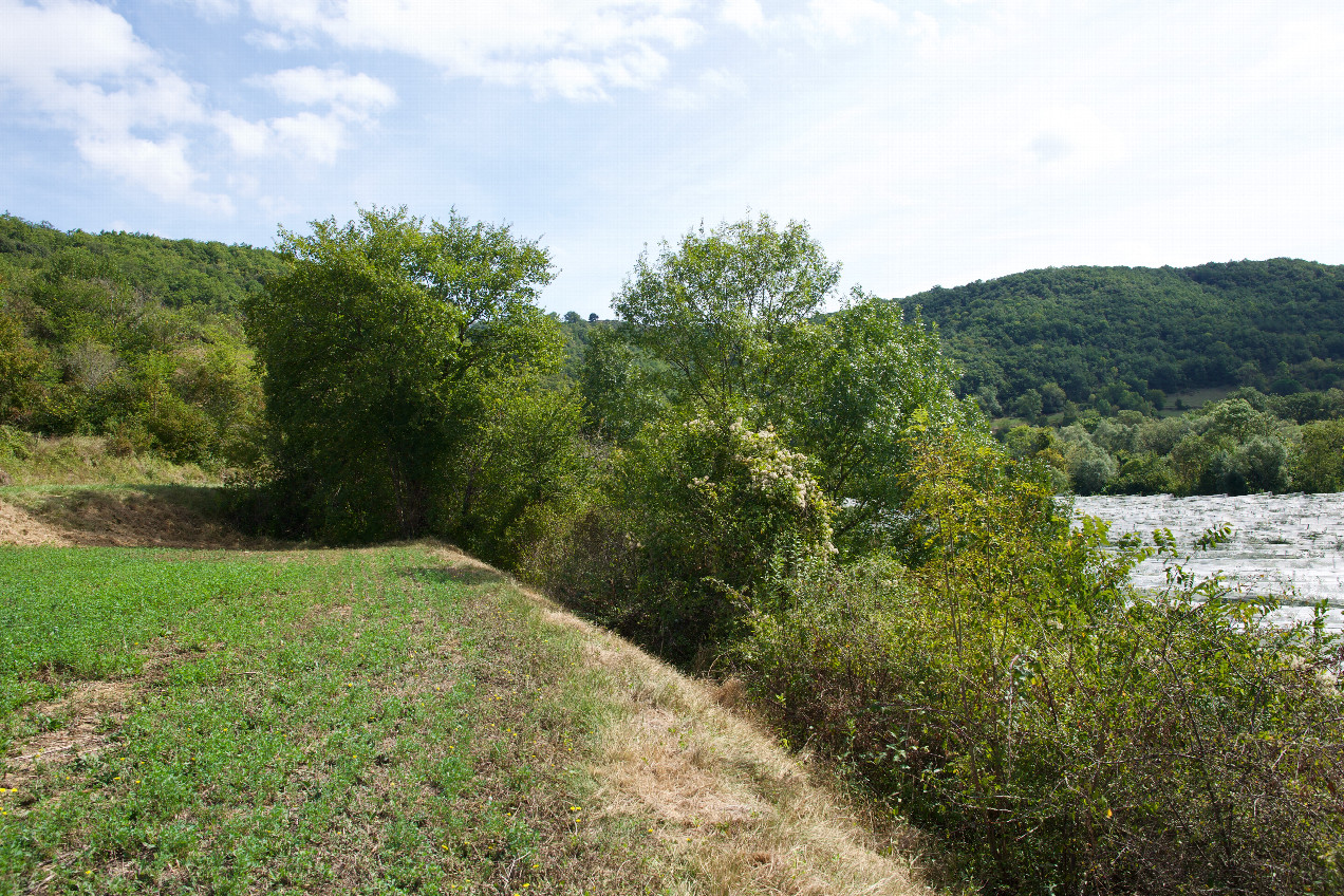 View East, from 66m North of the point