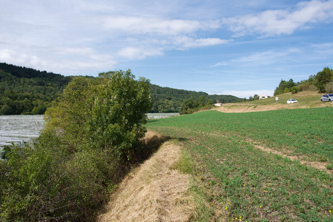 View West, from 66m North of the point