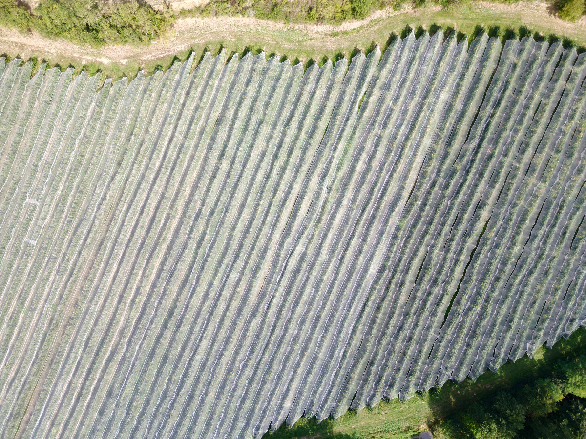 Looking down on the point from a height of 120m