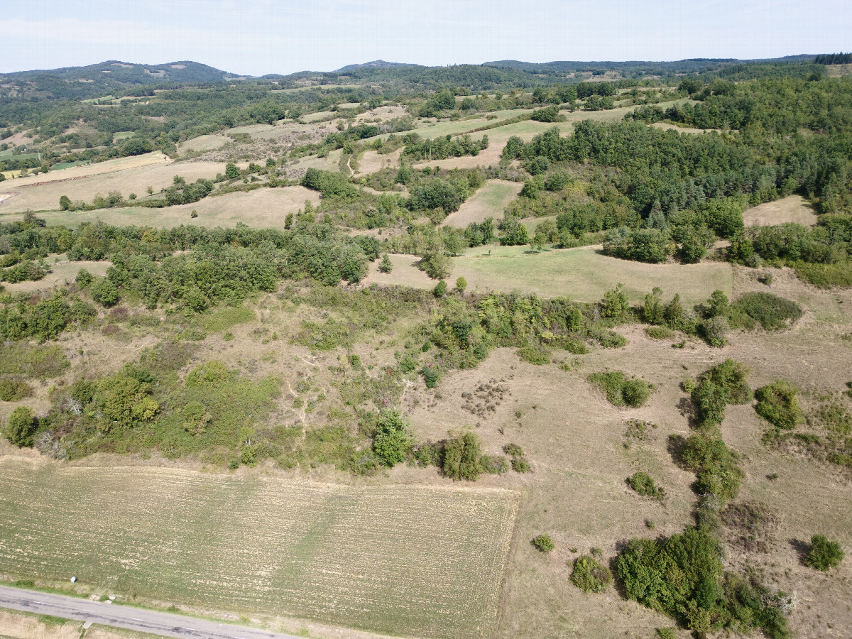 View North, from 120m above the point