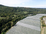 #11: View West, from 120m above the point