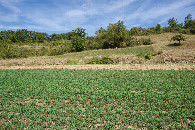 #2: View North, from 66m North of the point