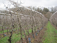 #3: Süden; view south