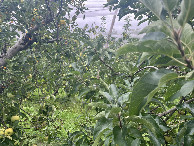 #3: View to the east
