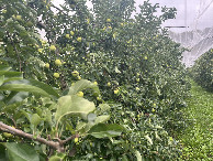 #4: View to the south