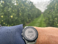 #6: GPS reading