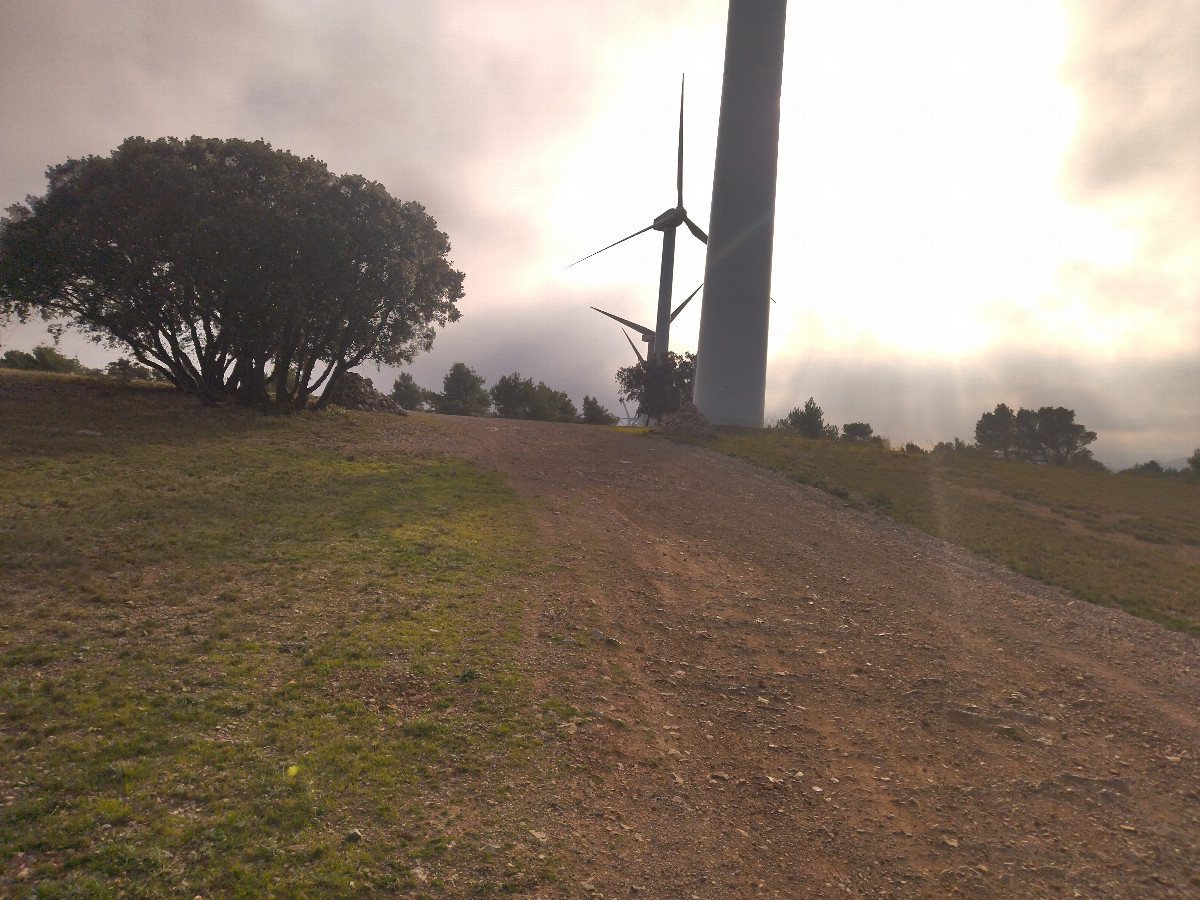 Path with the aligned turbines