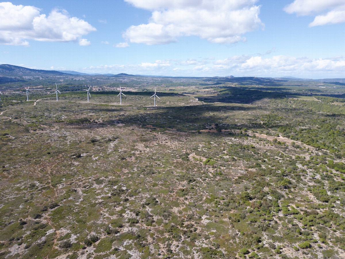 View West, from 120m above the point