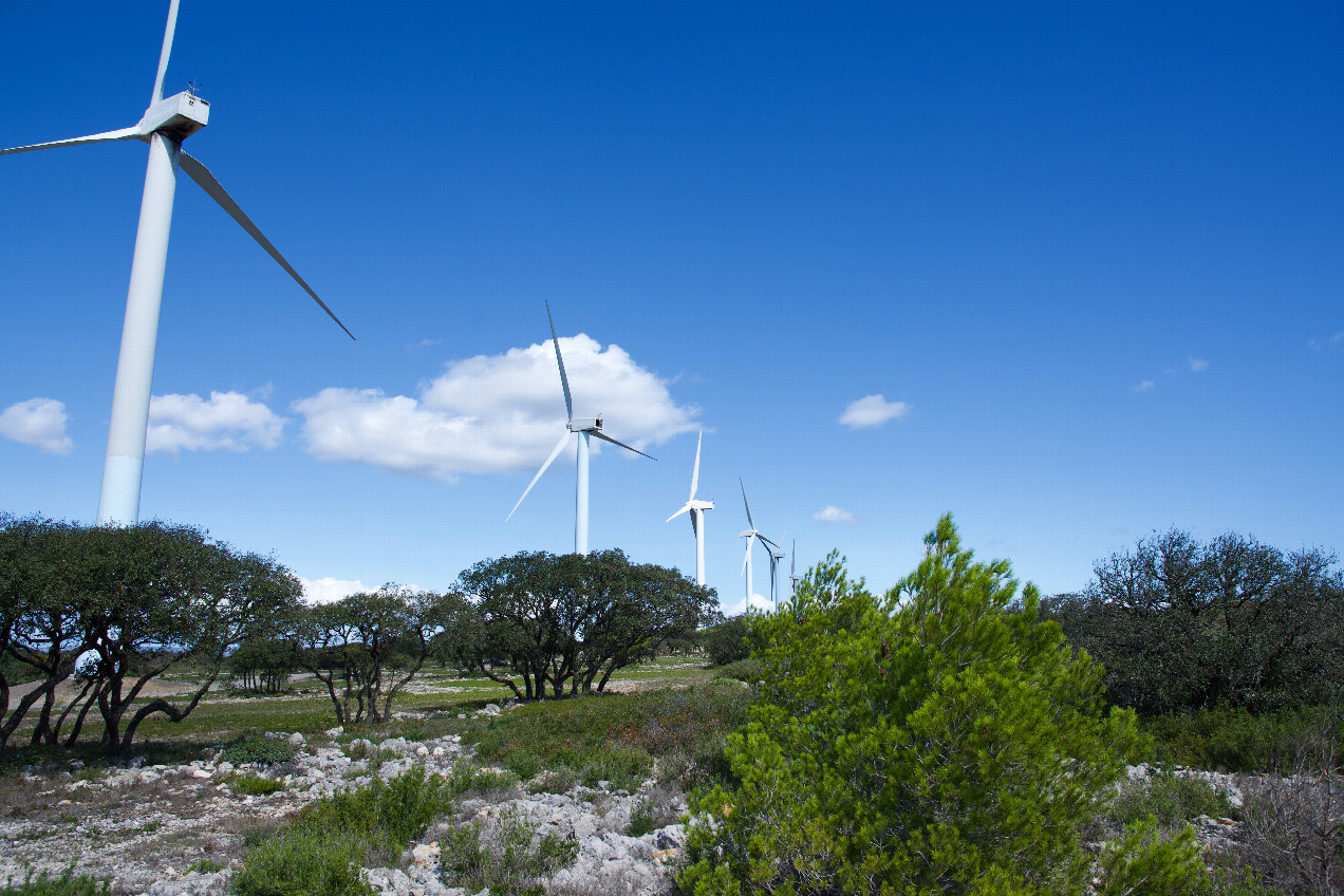 The confluence point lies just 50m from a line of wind turbines  (This is also a view to the North.)