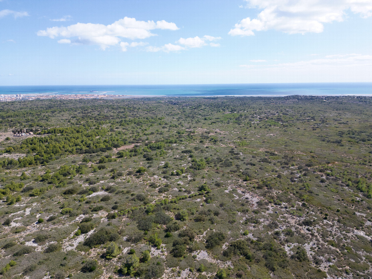 View East (towards the Mediterranian Sea), from 120m above the point