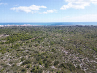 #9: View East (towards the Mediterranian Sea), from 120m above the point