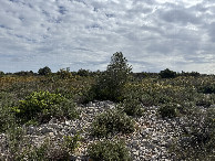 #5: View to the East